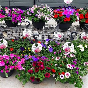 Afbeelding van HP30 XXL Mix new jong